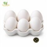 Trứng gà trắng – khay 10 quả
