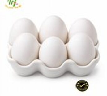 Trứng gà trắng – khay 10 quả