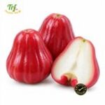 Roi đỏ An Phước – giá theo kg