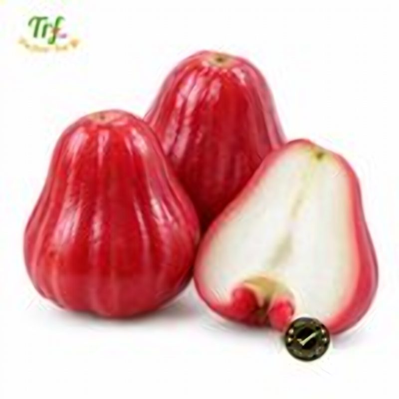 Roi đỏ An Phước – giá theo kg