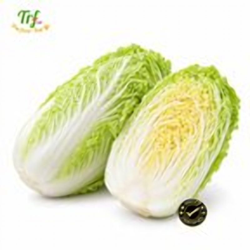 Cải thảo