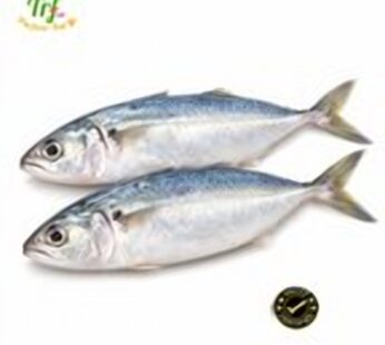 Cá bạc má – túi 500g