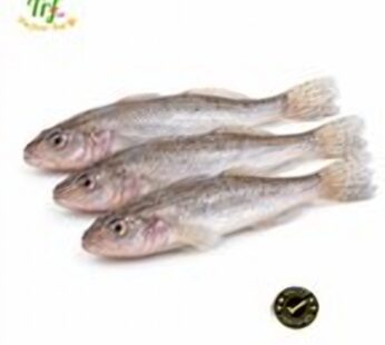 Cá bống mối – túi 500g
