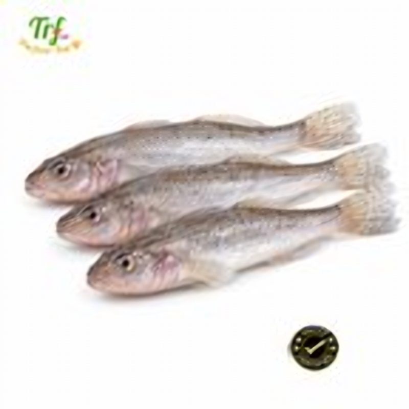 Cá bống mối – túi 500g