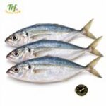 Cá nục gai – túi 500g