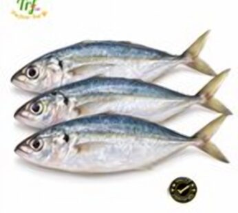 Cá nục gai – túi 500g