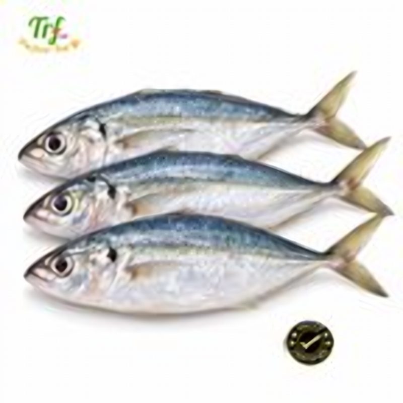 Cá nục gai – túi 500g