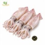 Mực ghim loại A (9–12) – túi 1kg