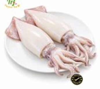 Mực ống nguyên con làm sạch – túi 2kg
